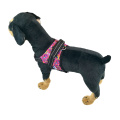 padded breathable Vest dog chest strap pet harness